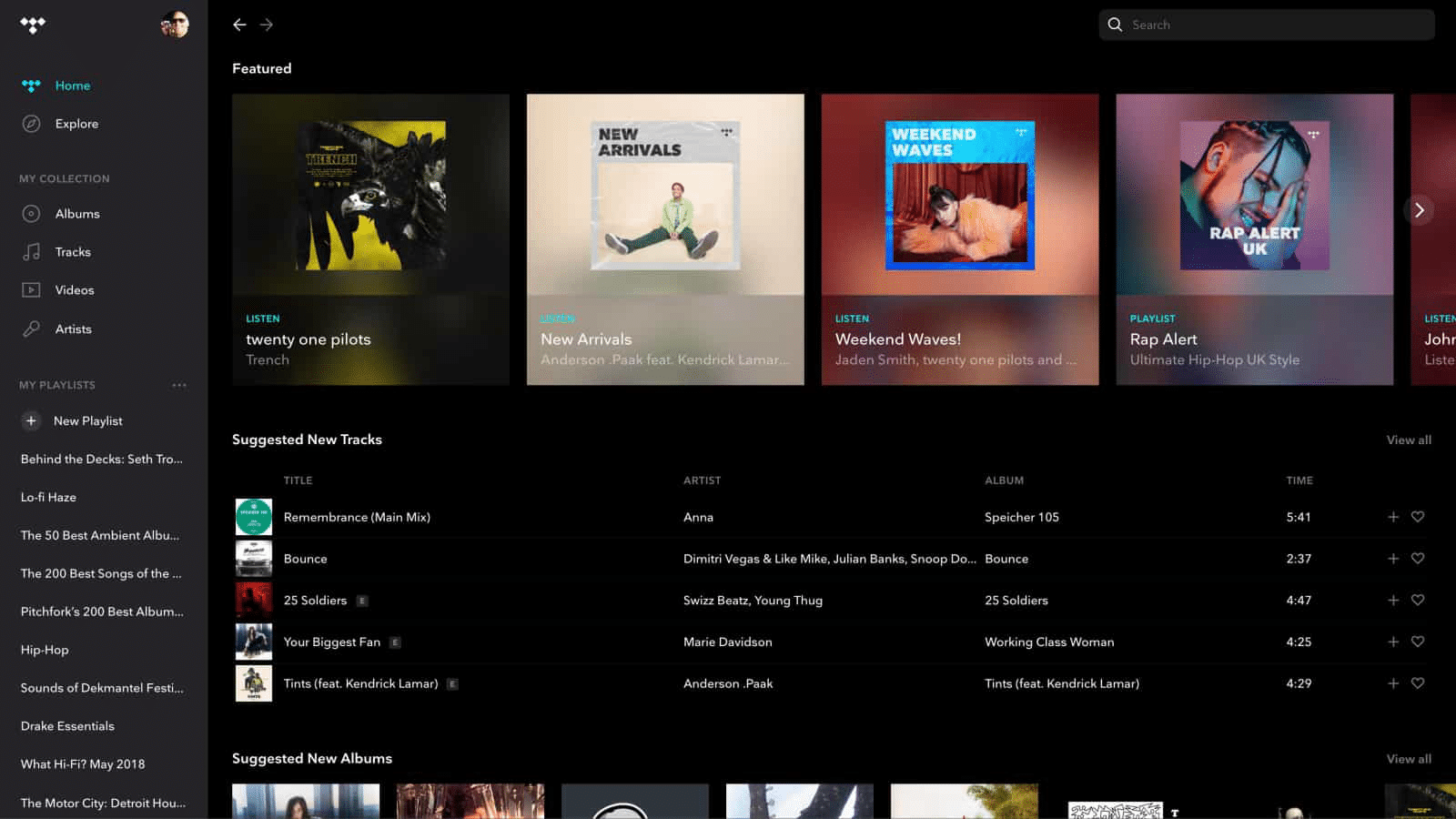 Thumbnail of TIDAL Premium 12-month subscription cost